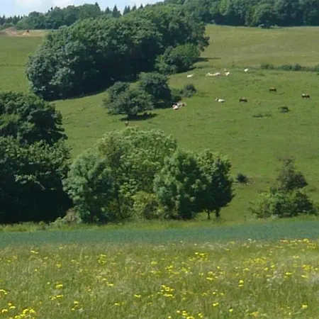 Schones Fachwerkhaus 빌라 Hohenroda (Hessen)